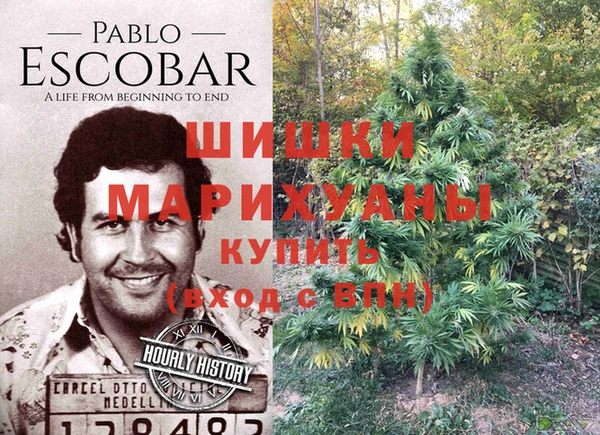 ECSTASY Каменка