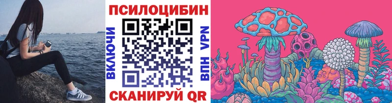 Купить где  Радужный  Галлюциногенные грибы прущие грибы 